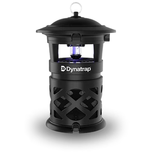DynaTrap insect trap