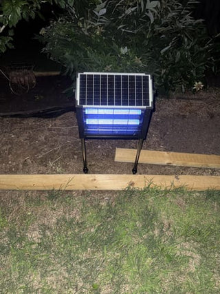 Customer product photo
